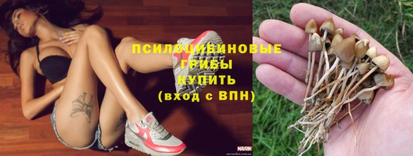 бутират Арсеньев